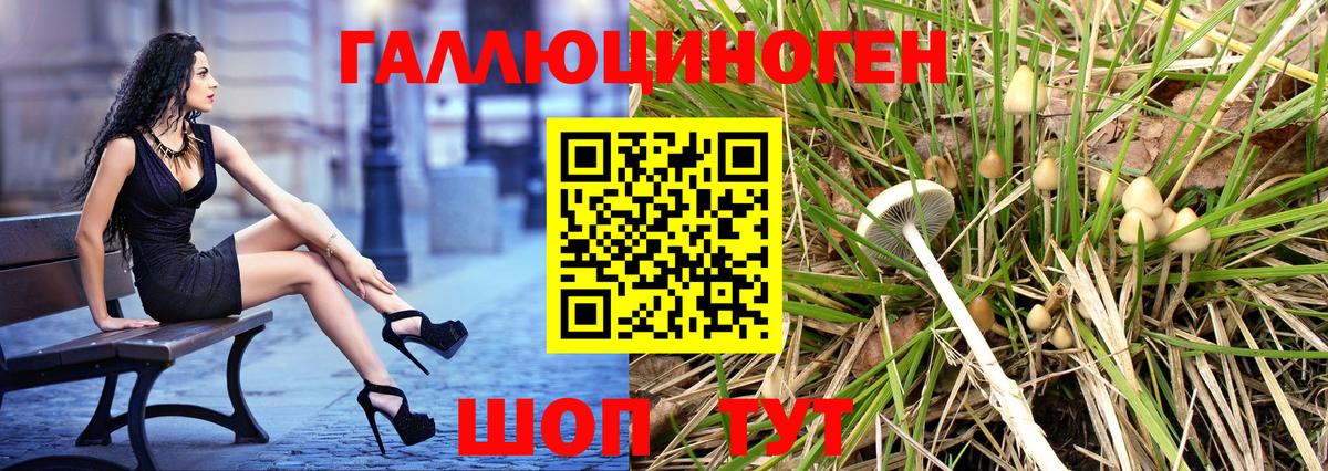 Псилоцибиновые грибы Magic Shrooms  Вход с VPN  Волгоград 