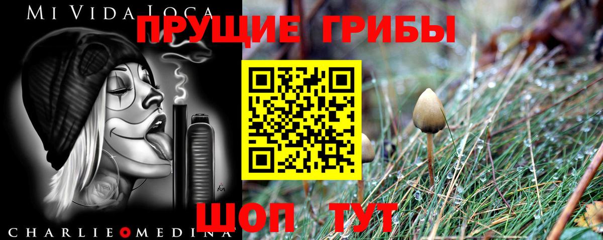 Меф МЯУ МЯУ   МДМА  Вход с VPN  ГАШ  Марихуана  Волгоград  А ПВП СК   КОКАИН 